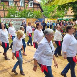 Line Dance Wochenende: Mit Rhythmus und Freude durch zwei spannende Tage